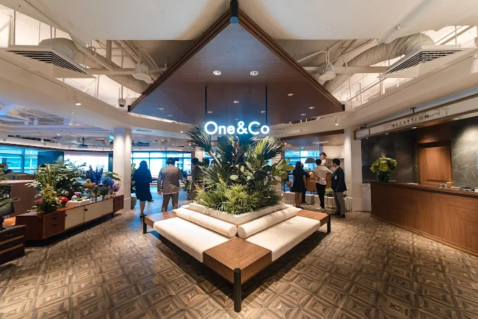 oneandco1