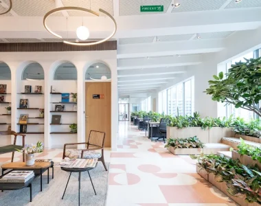 dextrus6